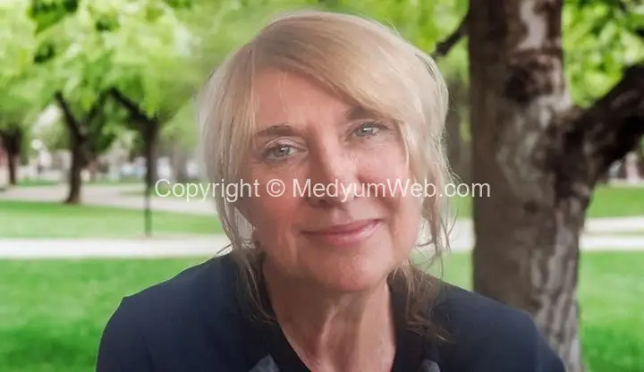 Kargı Salur Medyum Gülistan